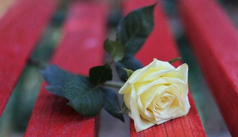 panchinarossa Paciano, Giornata contro violenza sulle donne: domenica inaugurazione della “Panchina Rossa” - Trasimenonline