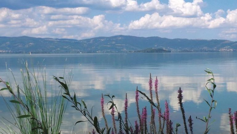 Fanghi del lago, luce verde dell’Arpa: non sono inquinati e possono essere rimossi