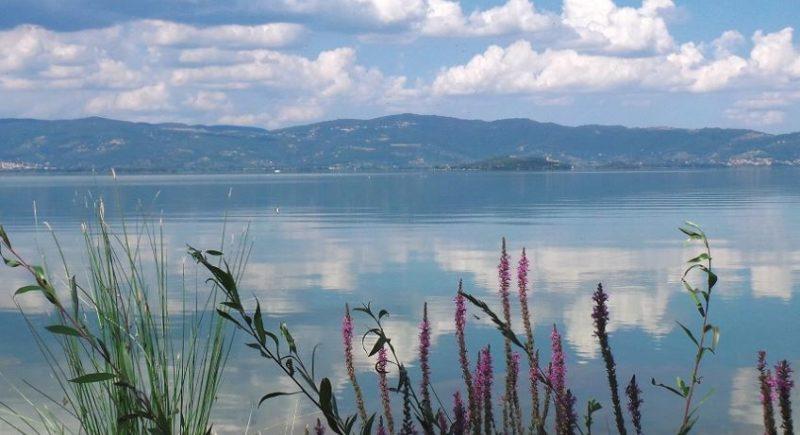 trasimeno