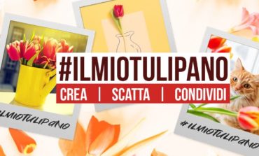 #Ilmiotulipano: la Festa del Tulipano e di Primavera vive grazie ai social