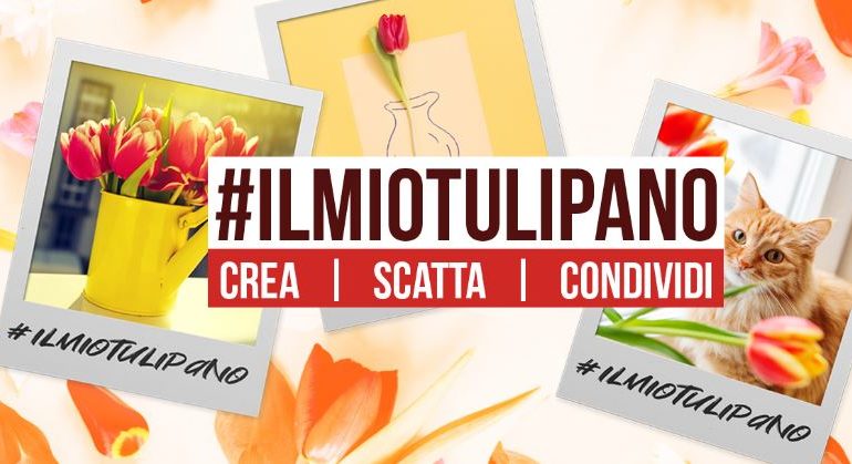 #Ilmiotulipano: la Festa del Tulipano e di Primavera vive grazie ai social