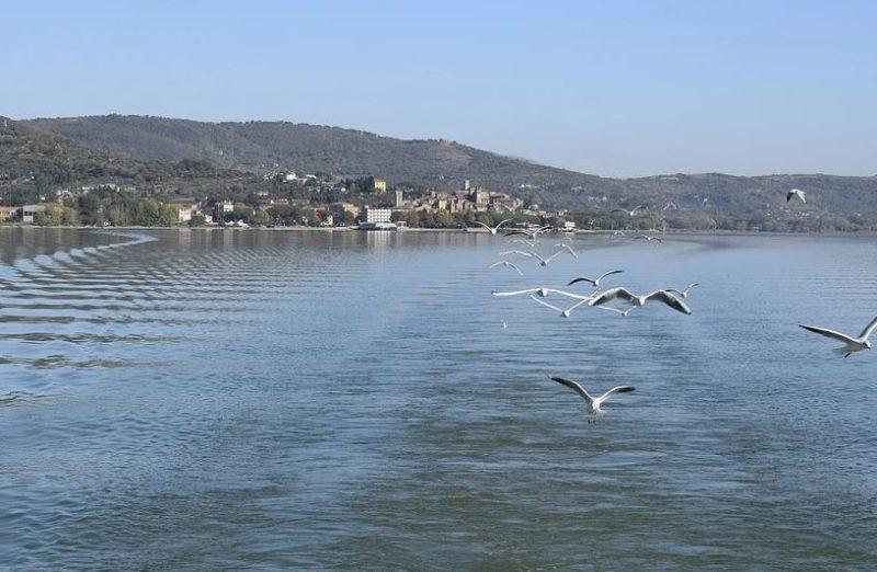 lago gabbiani