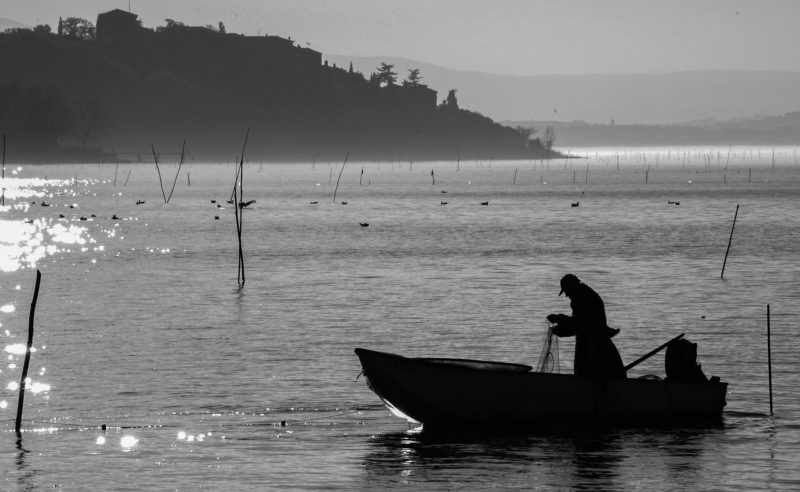pescatore trasimeno pesci