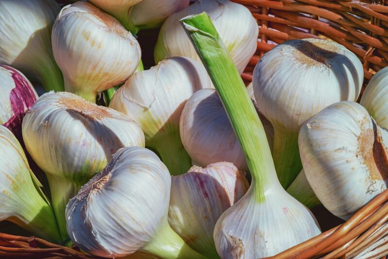 aglio