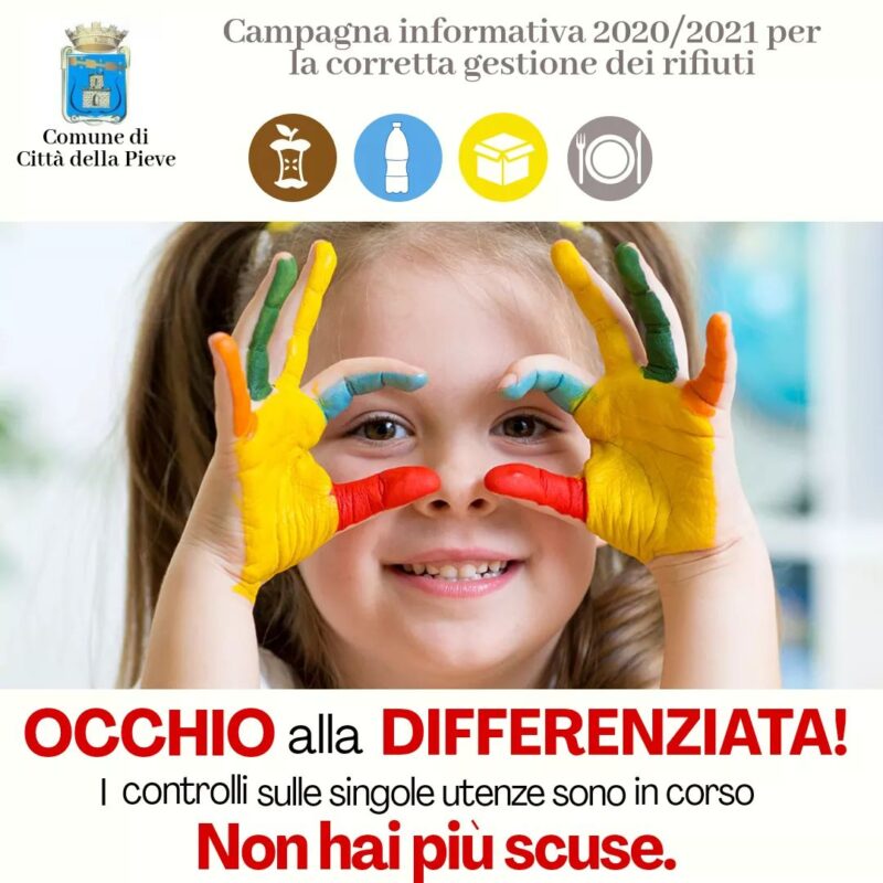 wp-1605883657365.jpg