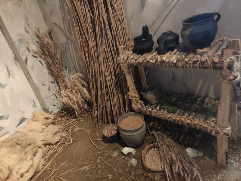 museo pesca