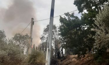 Incendi a Passignano sul Trasimeno, i Carabinieri denunciano il responsabile