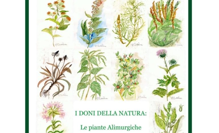 Avo Trasimeno presenta il libro sulle piante alimurgiche