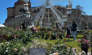 La Festa del Tulipano parte forte: migliaia di visitatori a Castiglione del Lago