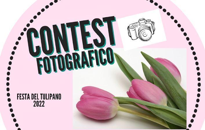 contest fotografico