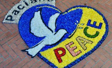 Gli infioratori di Paciano aderiscono a #flowerofpeace per una Pasqua di pace