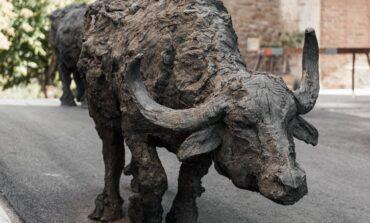 Animali di bronzo “in libertà” nel cuore di Panicale, sono le sculture di Rivalta