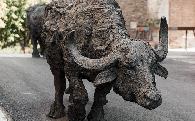 Animali di bronzo “in libertà” nel cuore di Panicale, sono le sculture di Rivalta