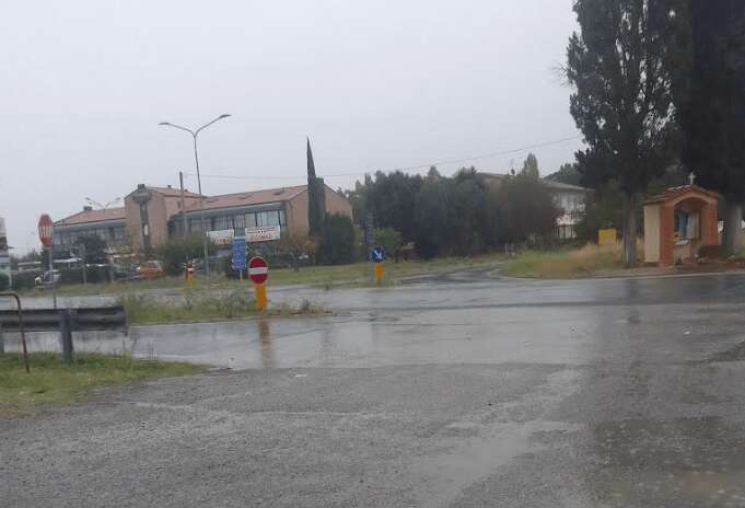 incrocio pineta