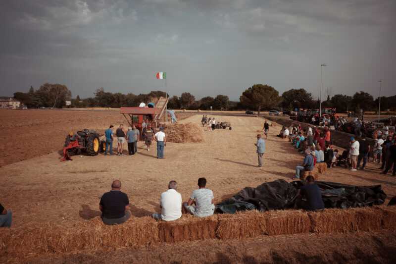 Torna la festa della battitura ad Agello, una giornata intera per celebrare il grano Torna la festa della battitura ad Agello, una giornata intera per celebrare il grano