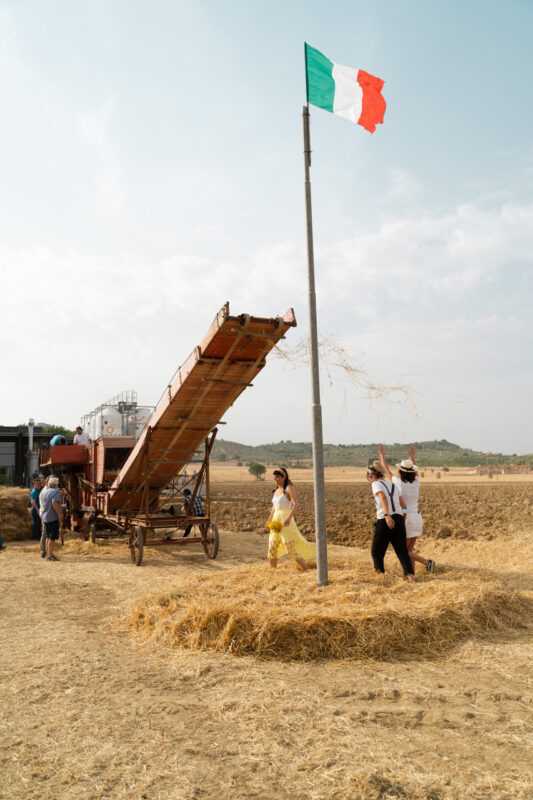 Torna la festa della battitura ad Agello, una giornata intera per celebrare il grano Torna la festa della battitura ad Agello, una giornata intera per celebrare il grano