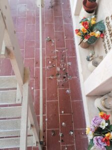 Cimitero di Sanfatucchio in abbandono: la denuncia di una cittadina
