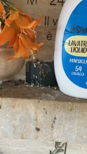 Cimitero di Sanfatucchio in abbandono: la denuncia di una cittadina