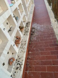 Cimitero di Sanfatucchio in abbandono: la denuncia di una cittadina