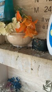 Cimitero di Sanfatucchio in abbandono: la denuncia di una cittadina