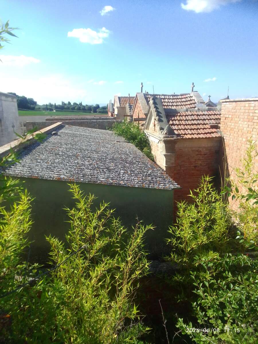 Exif_JPEG_420